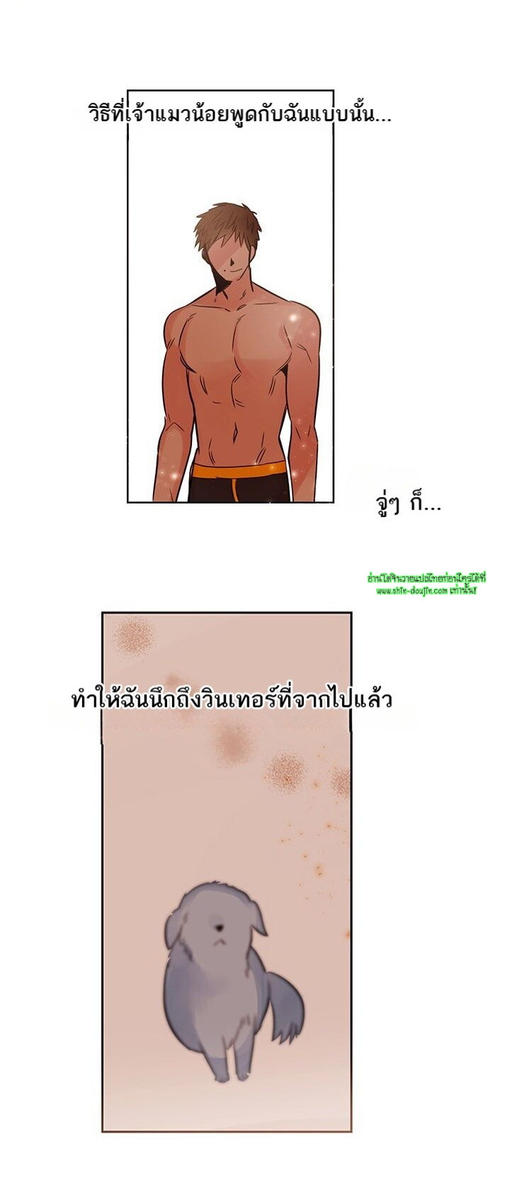 Cat in a Cardboard Box EP 10